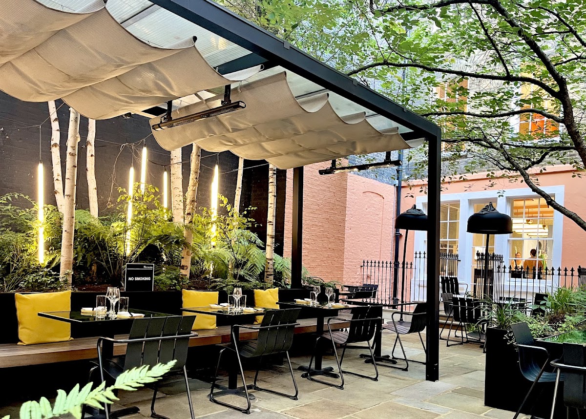 123V Browns — Soho