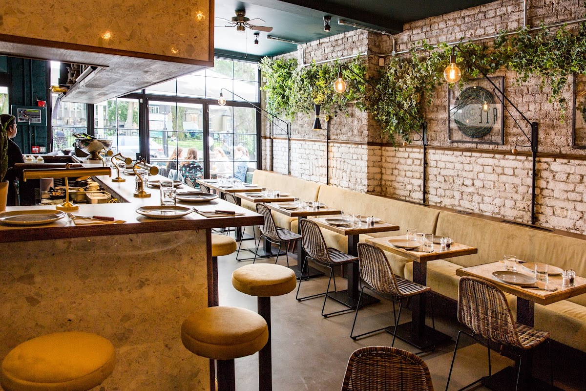 Cocotte Shoreditch — Islington