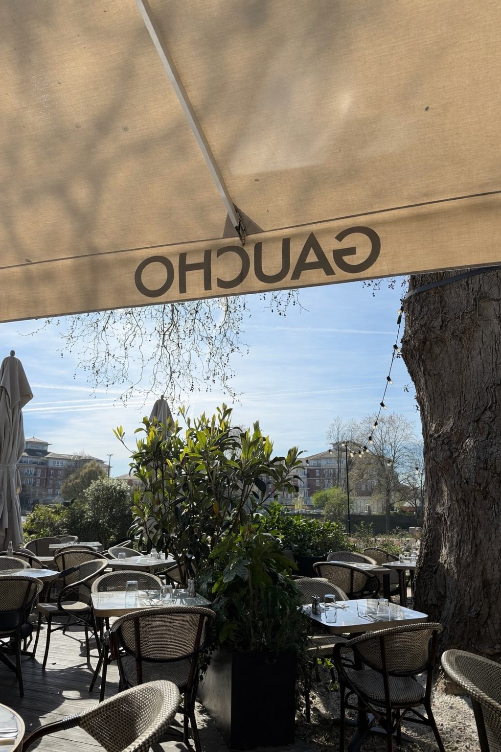 Gaucho Richmond — photo 2