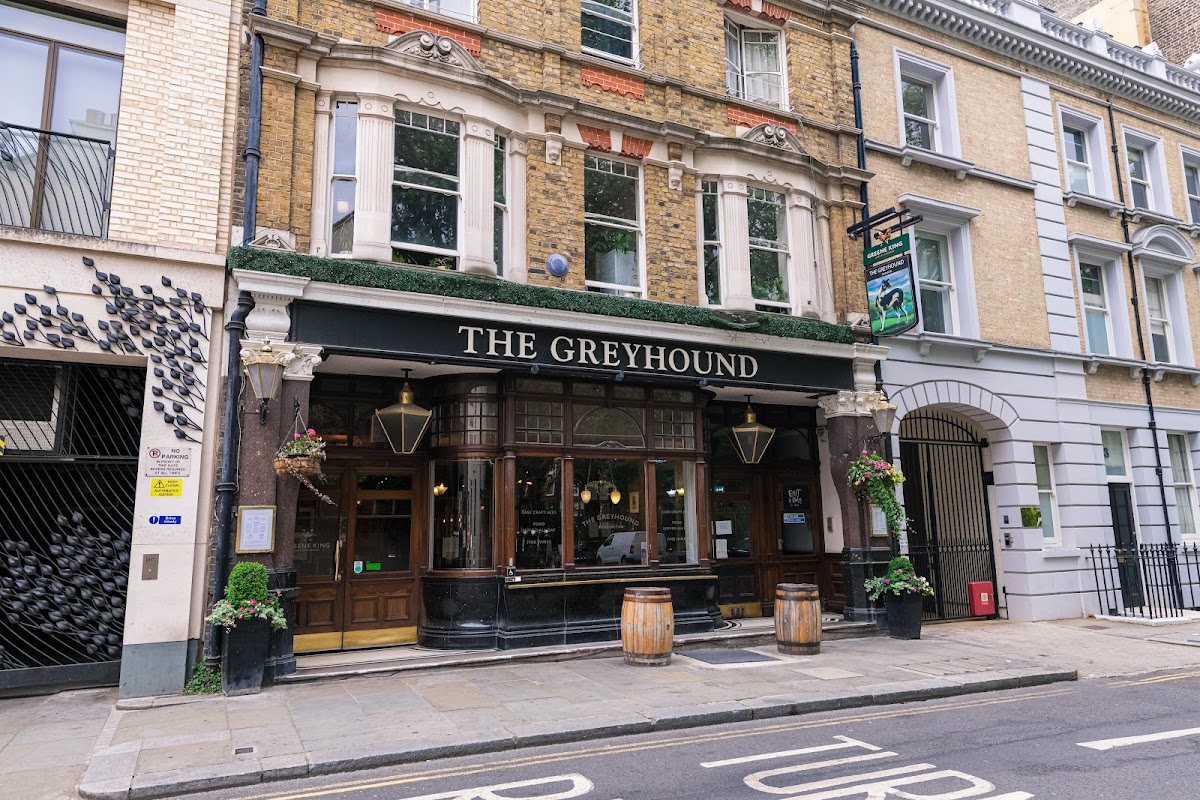 Greyhound — Kensington