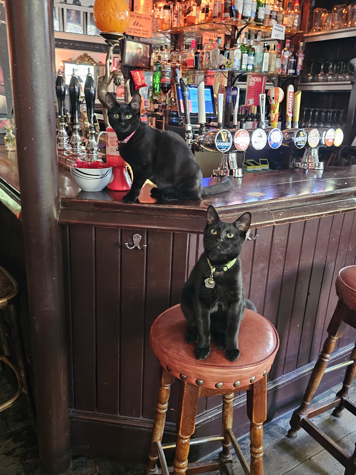 King William Ⅳ Pub & Rooms — Hampstead