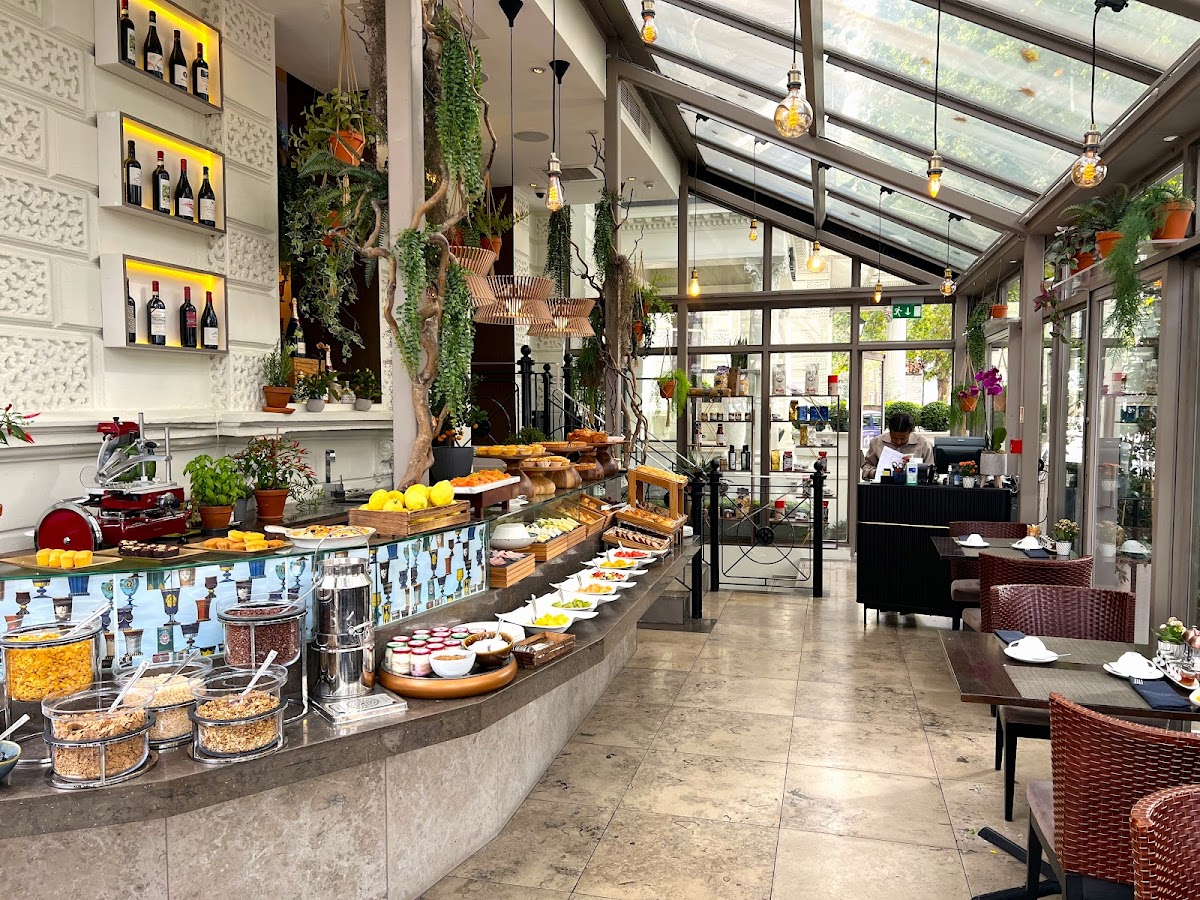 La Terrazza — Earls Court