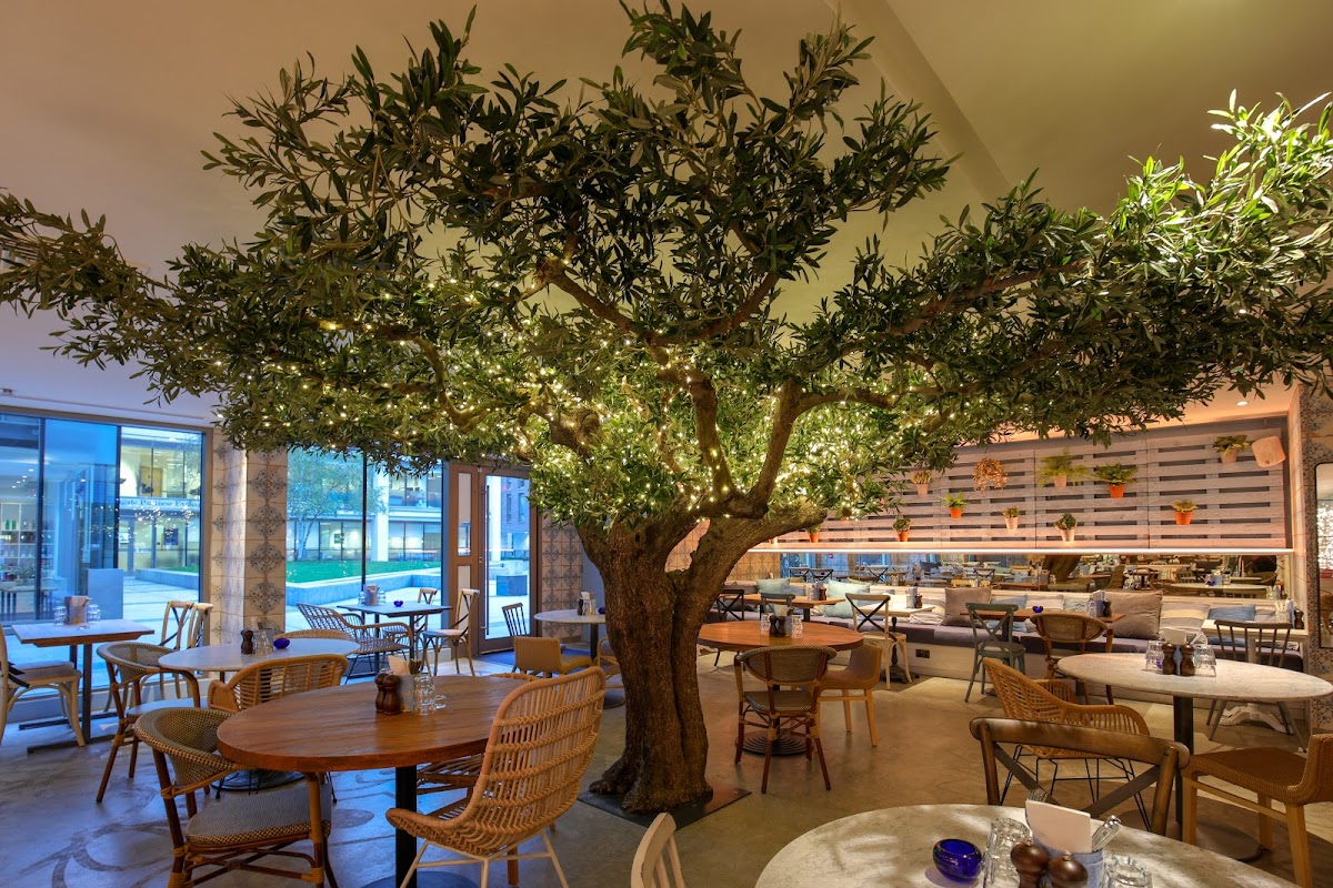 Megan's — Clapham