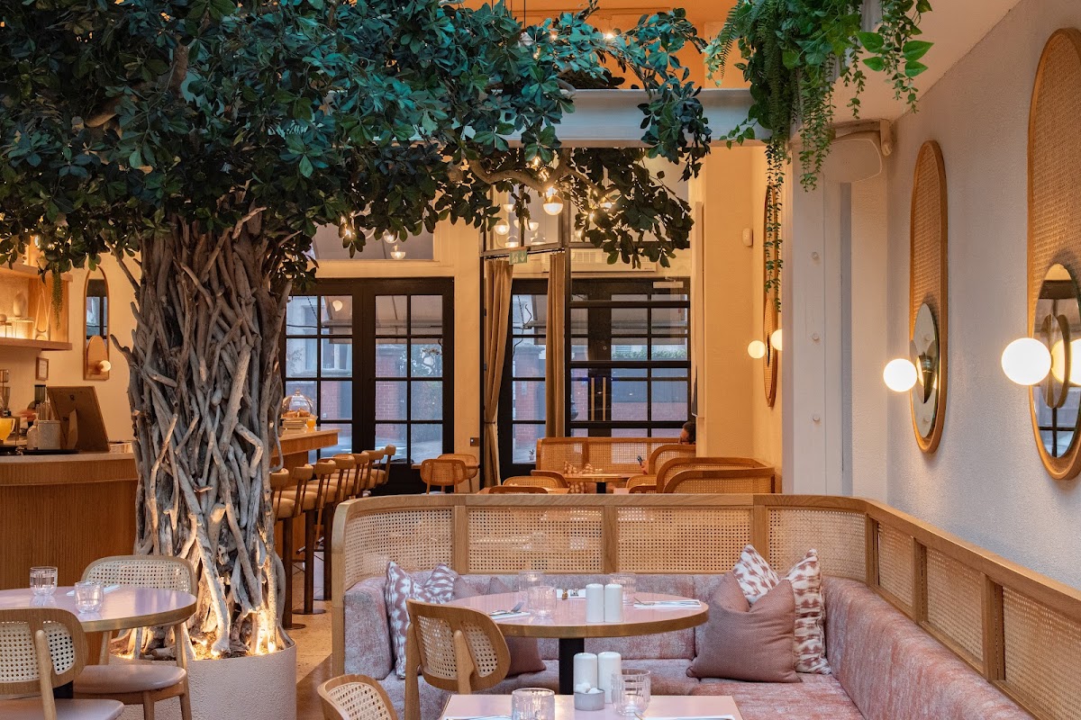 Oak&Poppy — Hampstead