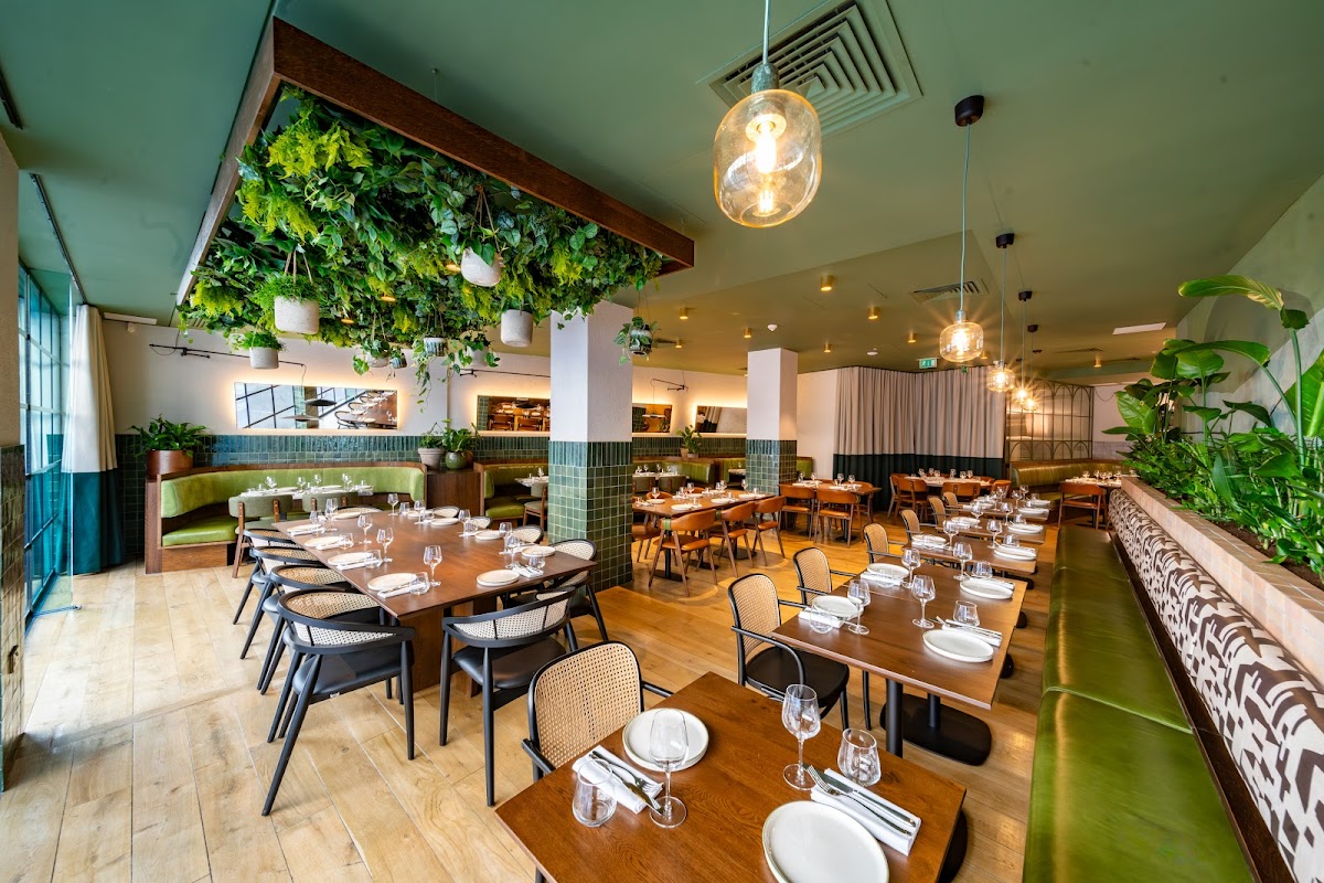 Olea Social — Covent Garden