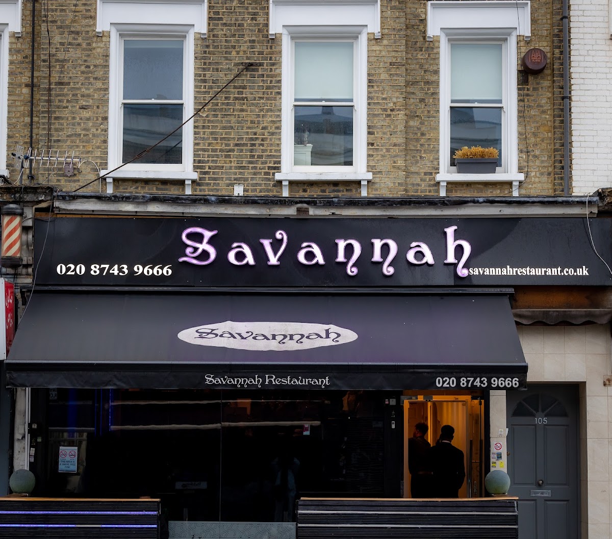 Savannah — Shepherds Bush