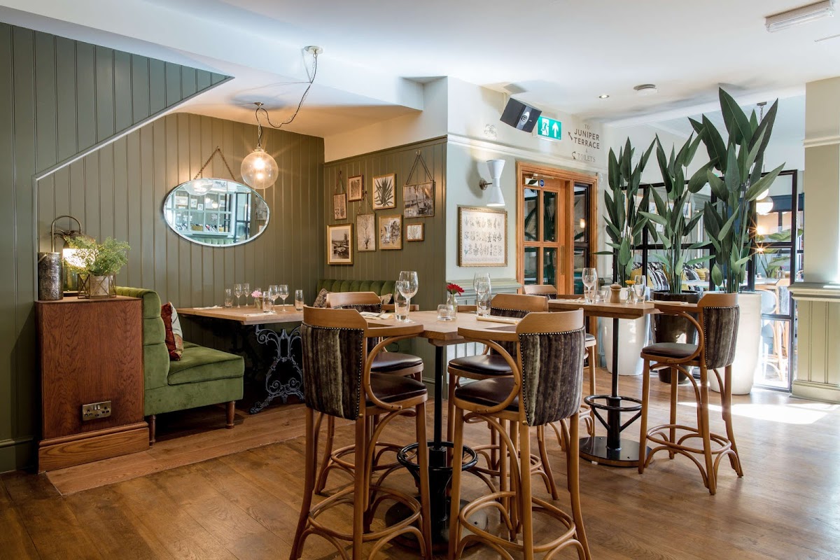 Spotted Horse — Putney
