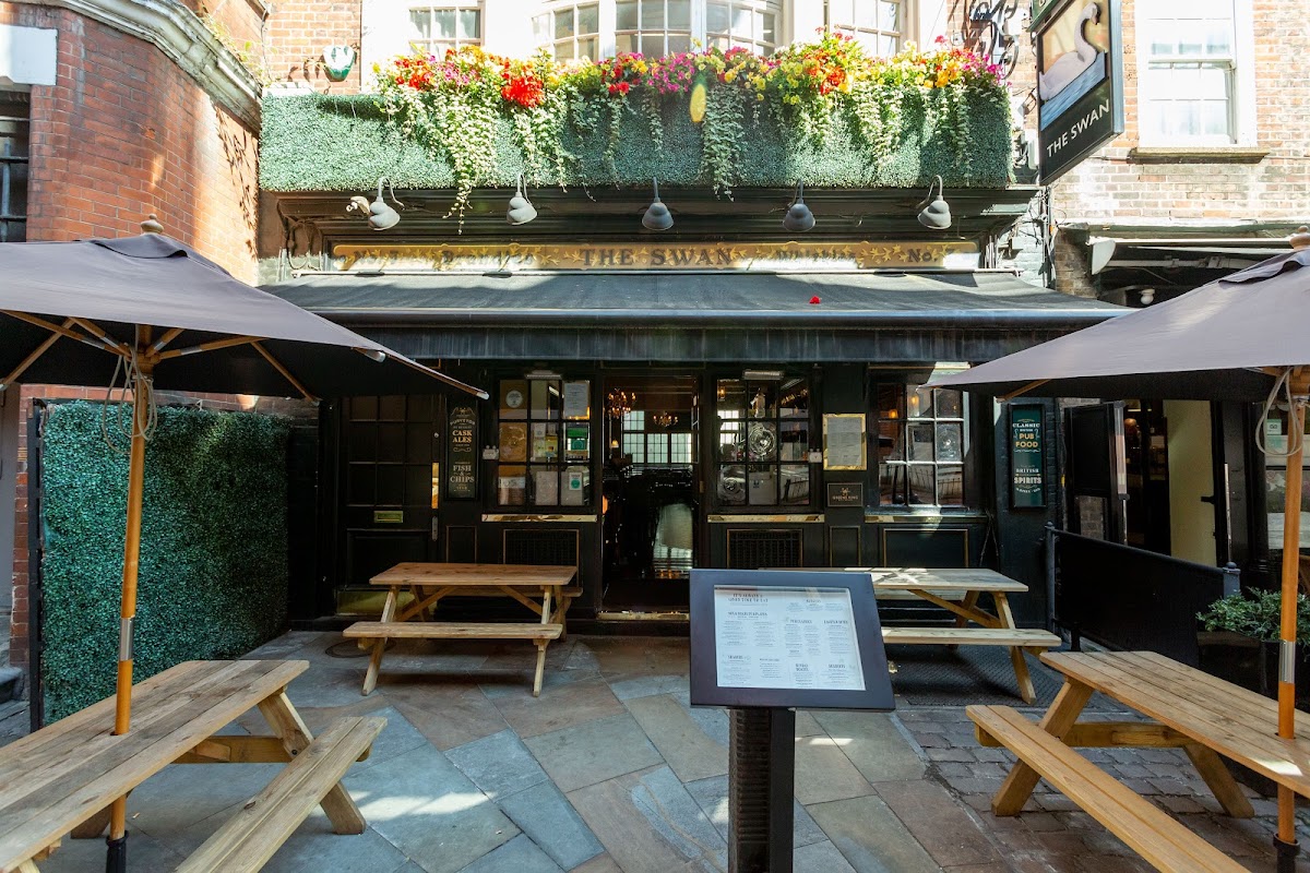 Swan — Bloomsbury