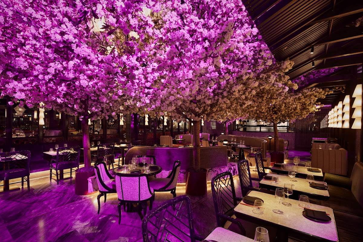 Tattu London — Covent Garden