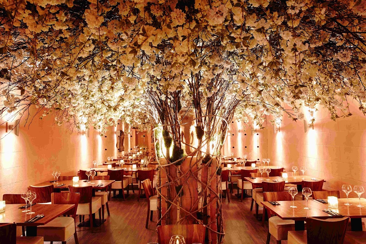 Thai Square Strand — Covent Garden