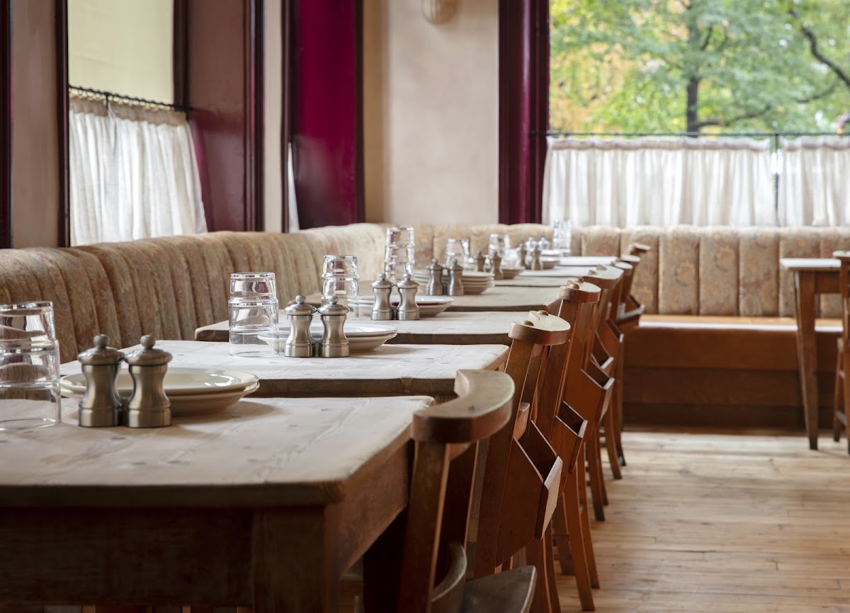 The Good Oak — Bayswater