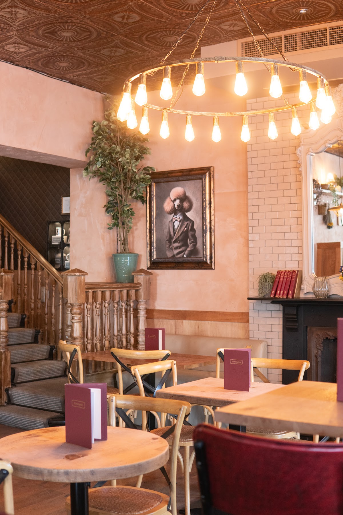 The Hayden Pub & Rooms — Bayswater