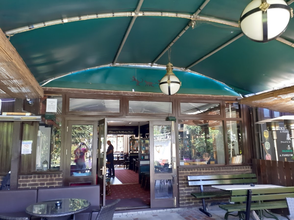 The Monkey Puzzle — Bayswater
