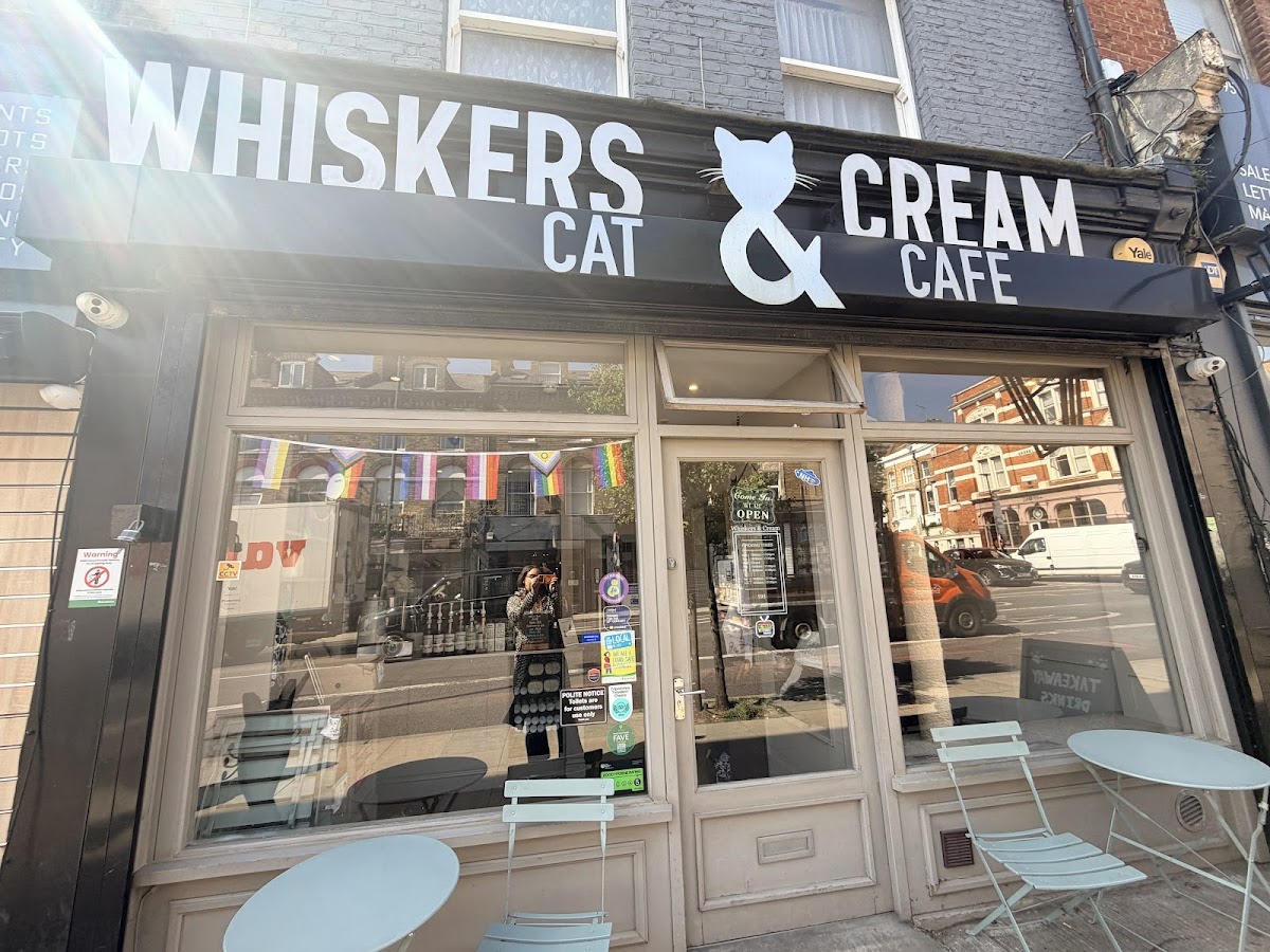 Whiskers & Cream Cat Cafe London — Archway